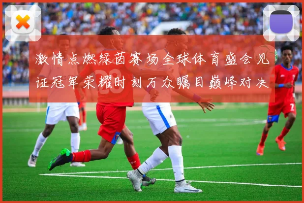 激情点燃绿茵赛场全球体育盛会见证冠军荣耀时刻万众瞩目巅峰对决