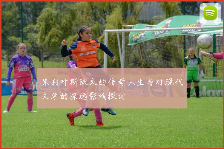 朱利叶斯欧文的传奇人生与对现代文学的深远影响探讨